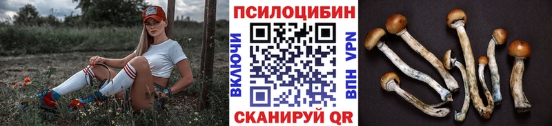 Галлюциногенные грибы Cubensis  как найти закладки  Кохма 